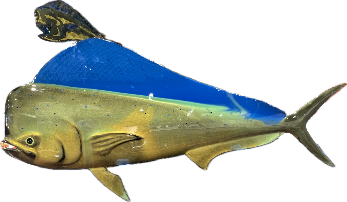Mahi Deco