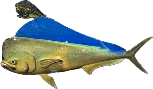 Mahi Deco